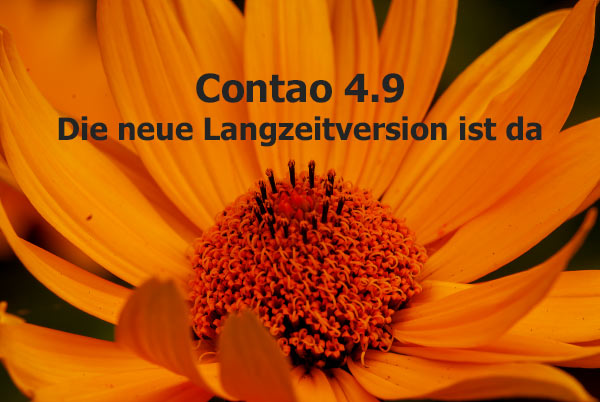 Contao 4.9 (LTS) ist da!
